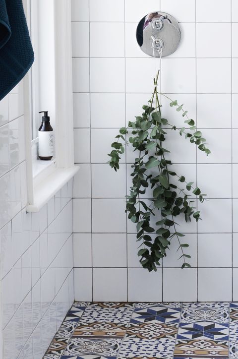 eucalyptus shower