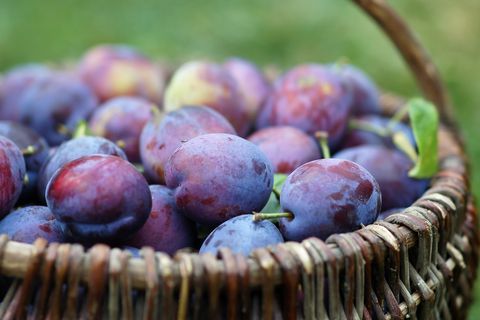 plums in the basket