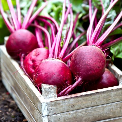 freshly picked beetroots in wooden tray